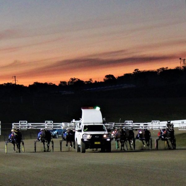 Future Uncertain for Local Harness Racing Club
