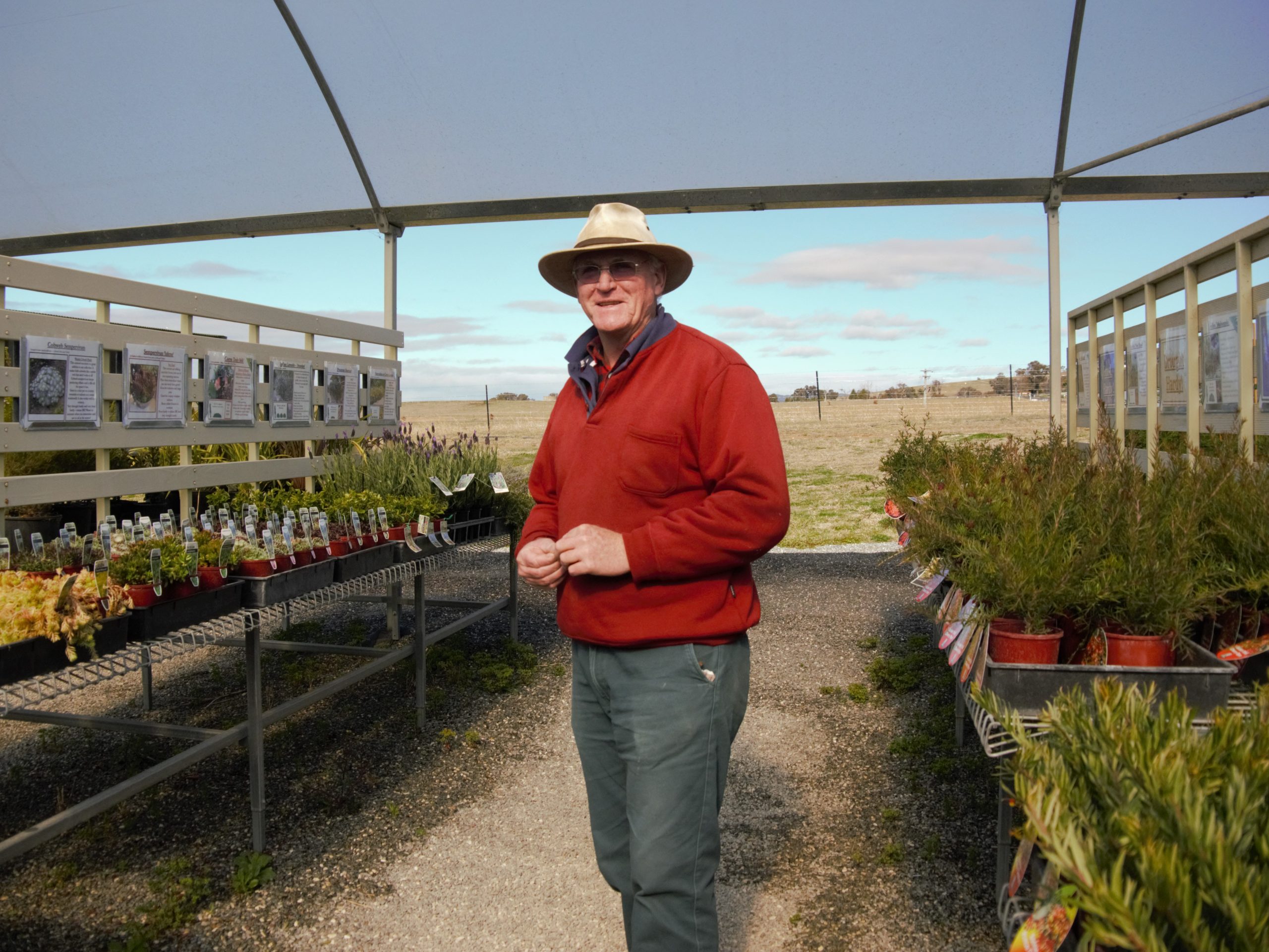 Local nurseries prospering from lock down, despite winter season