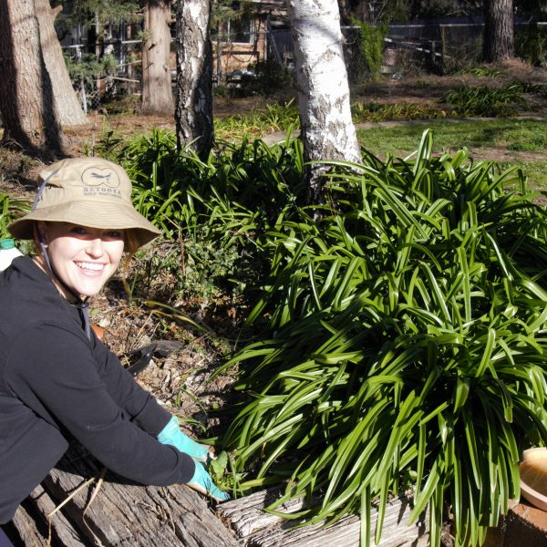 The health benefits of gardening in unprecedented times