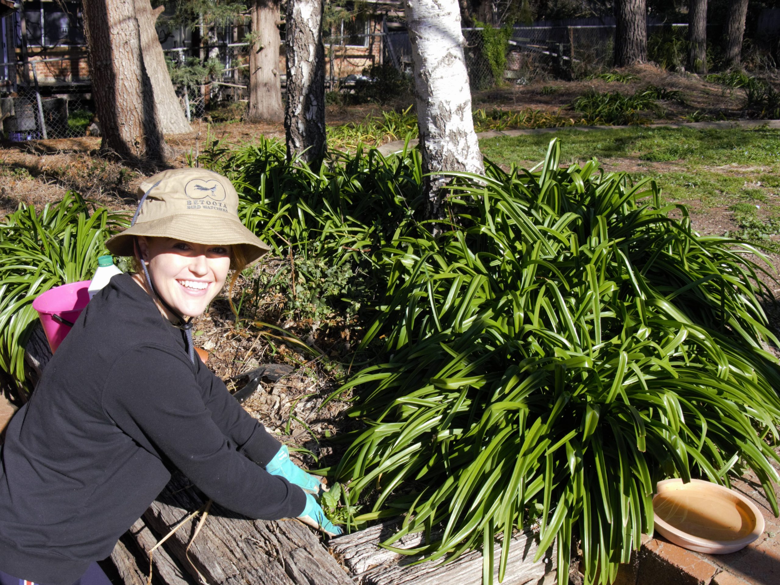 The health benefits of gardening in unprecedented times
