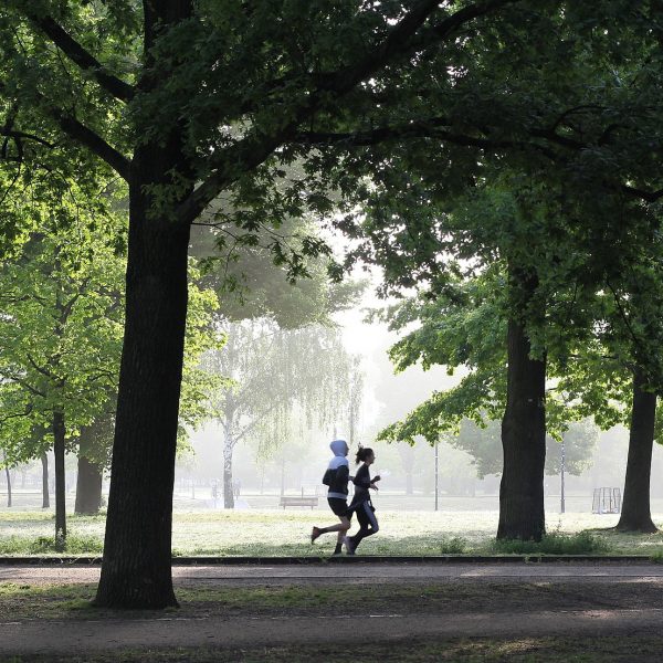 Local exercise expert expresses importance of exercising in lockdown
