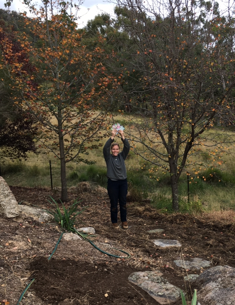 Isolating depression: gardening the cure for blues