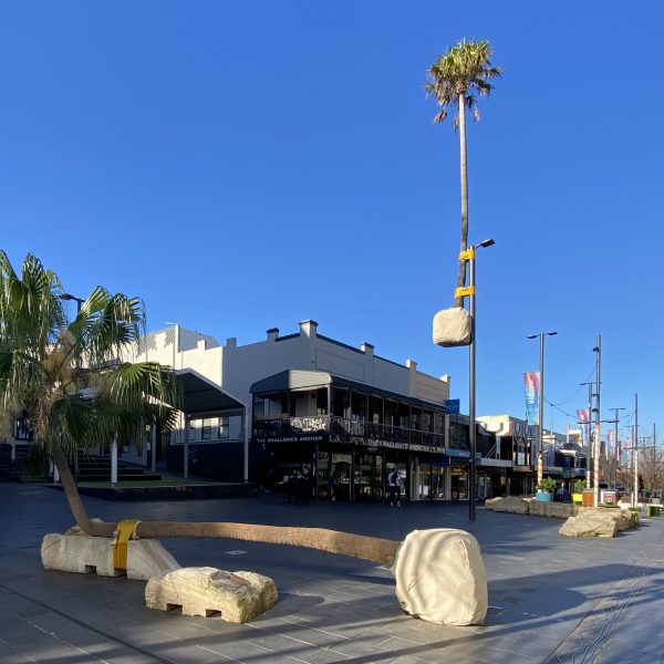 Crown Central chooses $430,000 palm trees over affordable parking