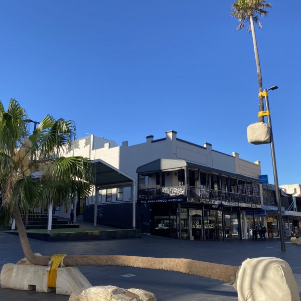 Blog: Attraction or obstruction? Was the palm tree installation worth it?