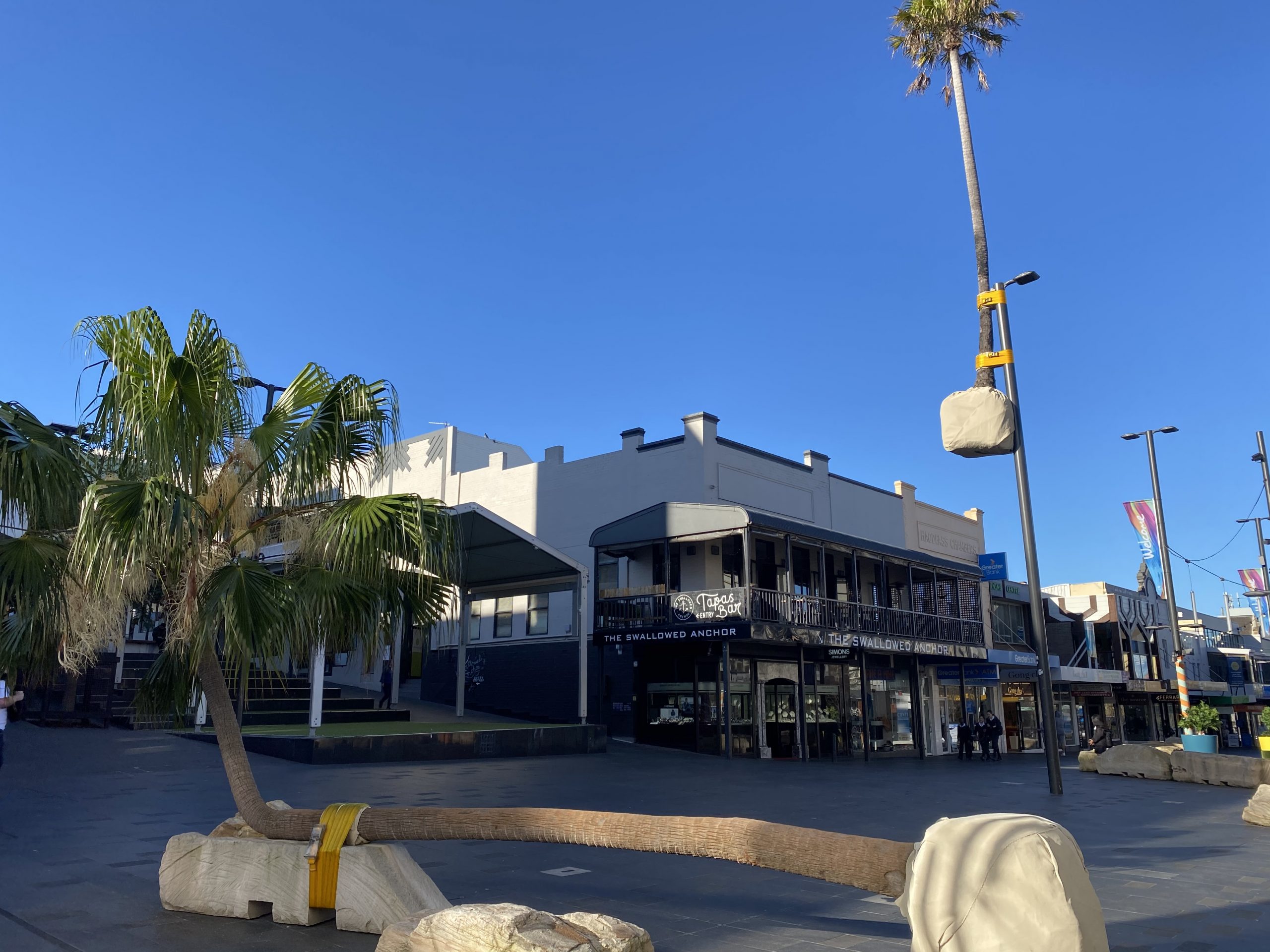 Blog: Attraction or obstruction? Was the palm tree installation worth it?