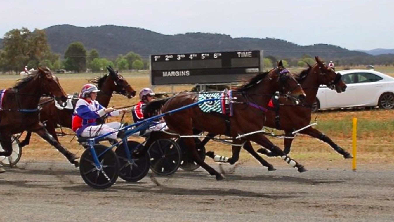 Behind the scenes of the Harness Racing Industry
