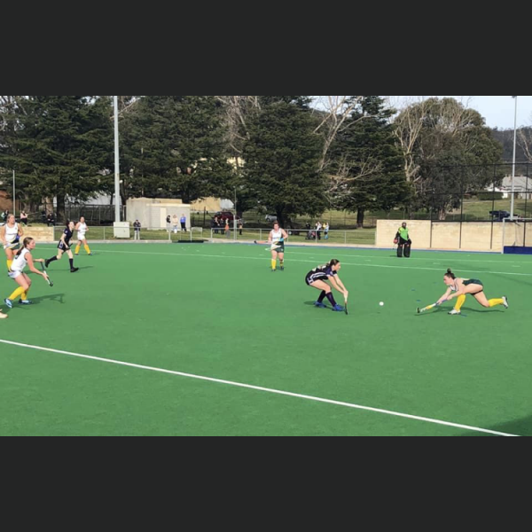 Playoffs Begin as Premier League Hockey Reaches Pinnacle